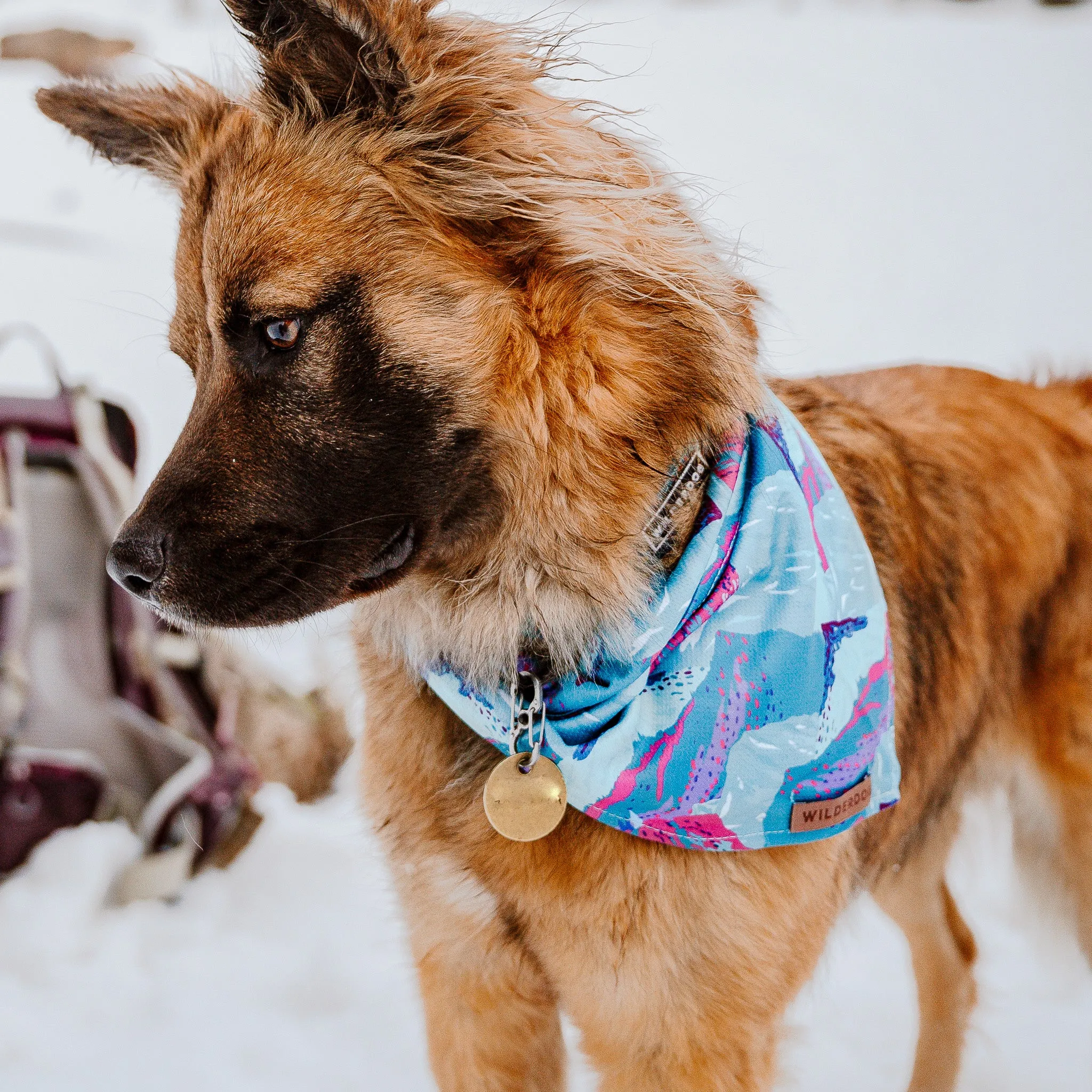 Alpenglow Bandana