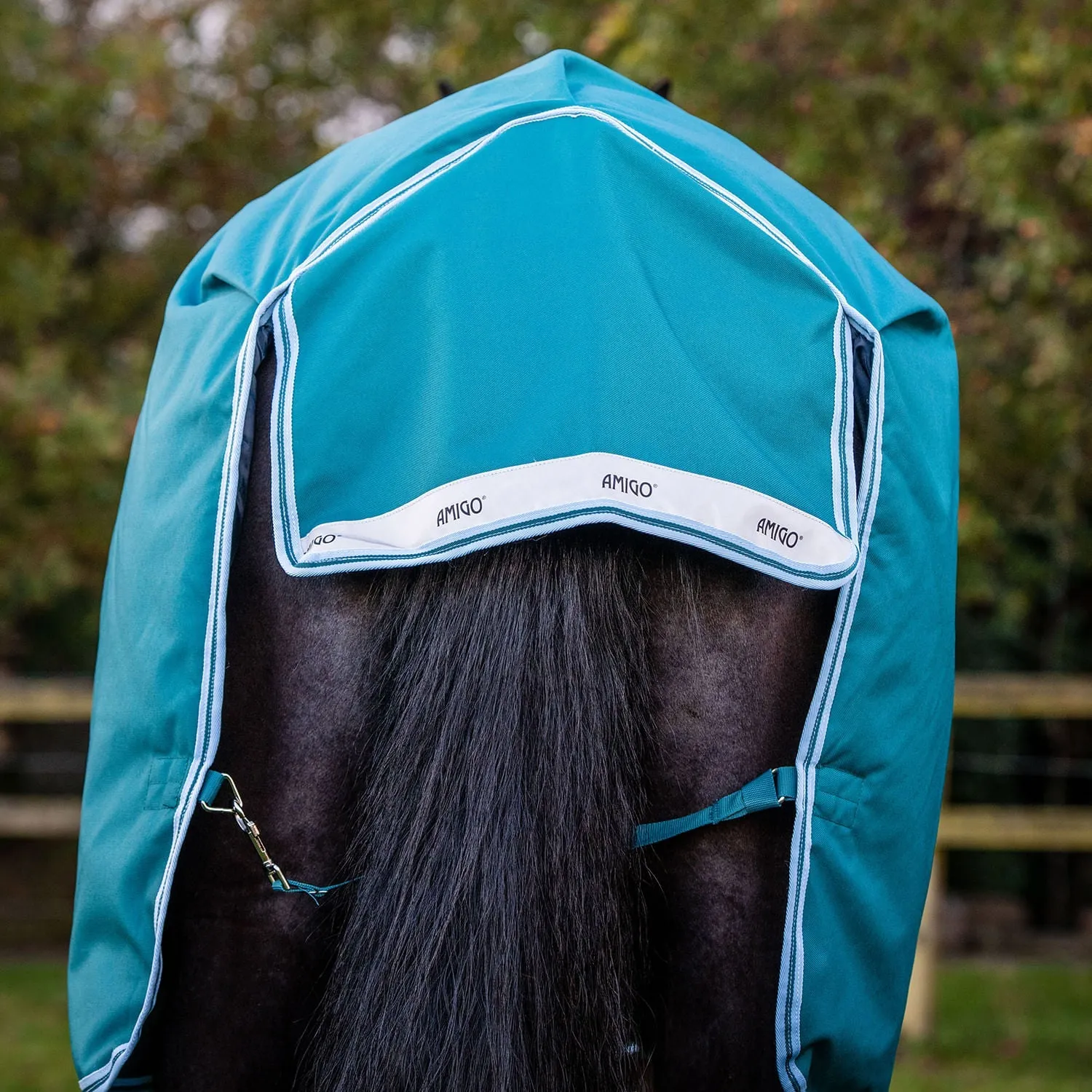 Amigo Bravo 12 Wug, 250 gram Horse Blanket, Storm Green