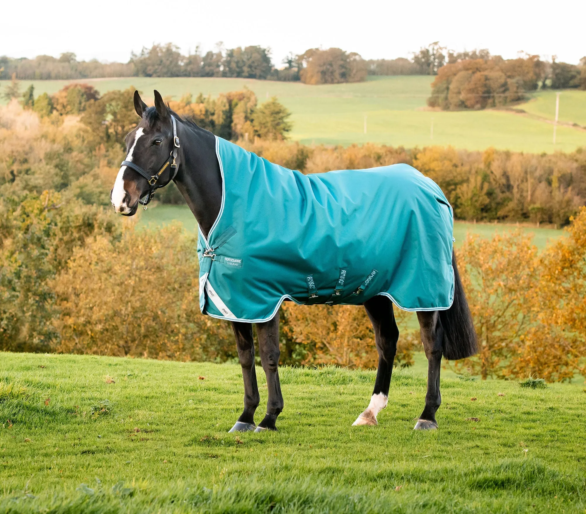 Amigo Bravo 12 Wug, 250 gram Horse Blanket, Storm Green