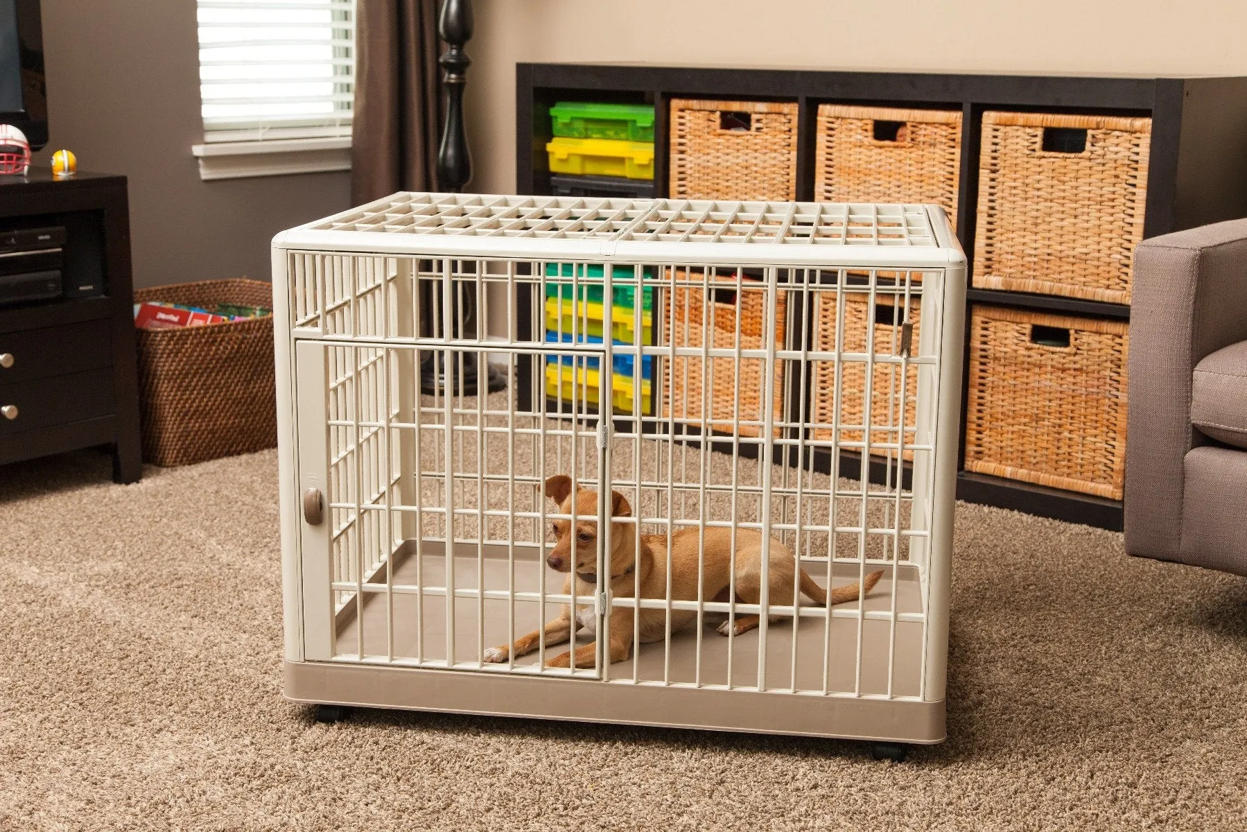 Animal Cage and Condo - Extra Small