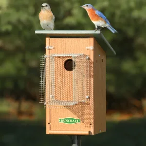 Duncraft Bird-Safe® Bluebird House & Pole with Noel Guard