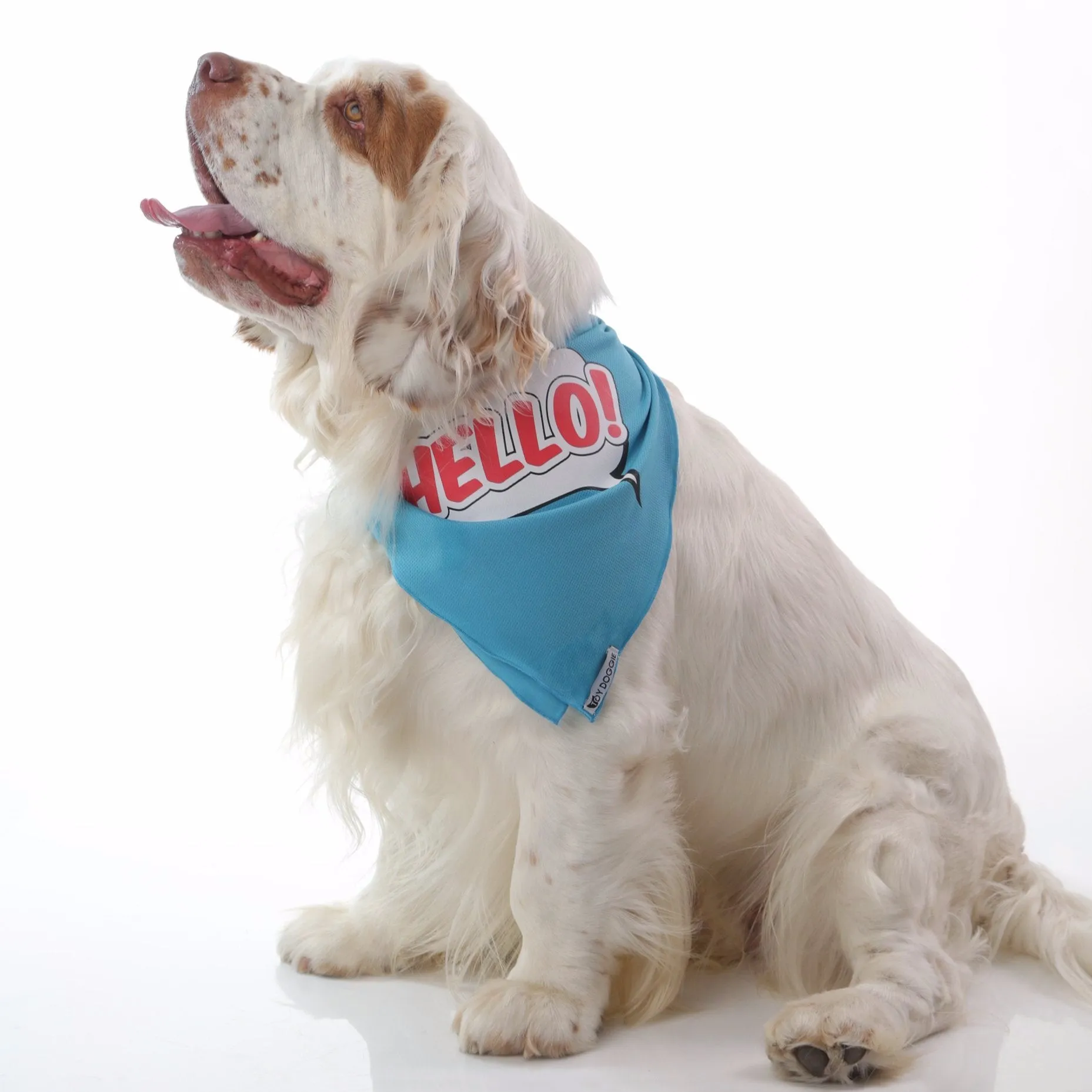 HELLO! Cooling Down Dog Bandana