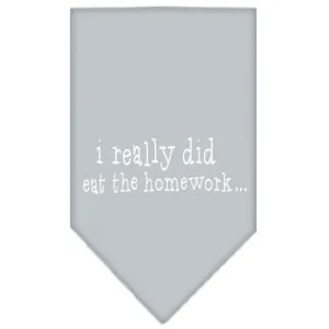 I really did eat the Homework Screen Print Bandana Grey Small