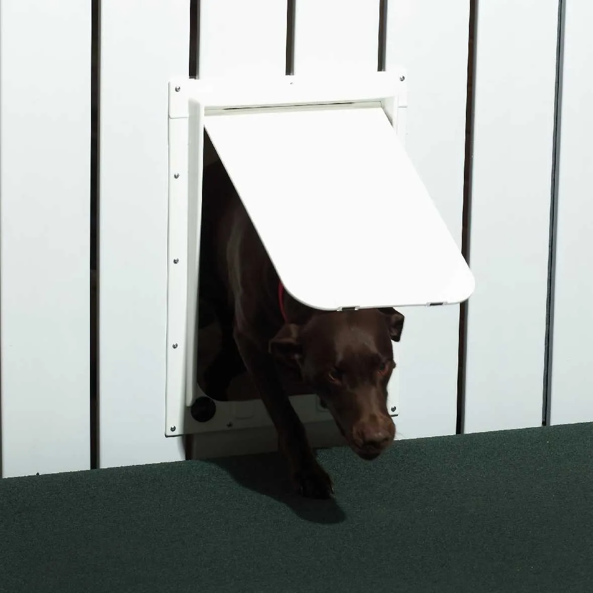 Magnador Dog Doors for Doors & Kennels