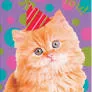 Peaceable Kingdom Mini Greeting Cards