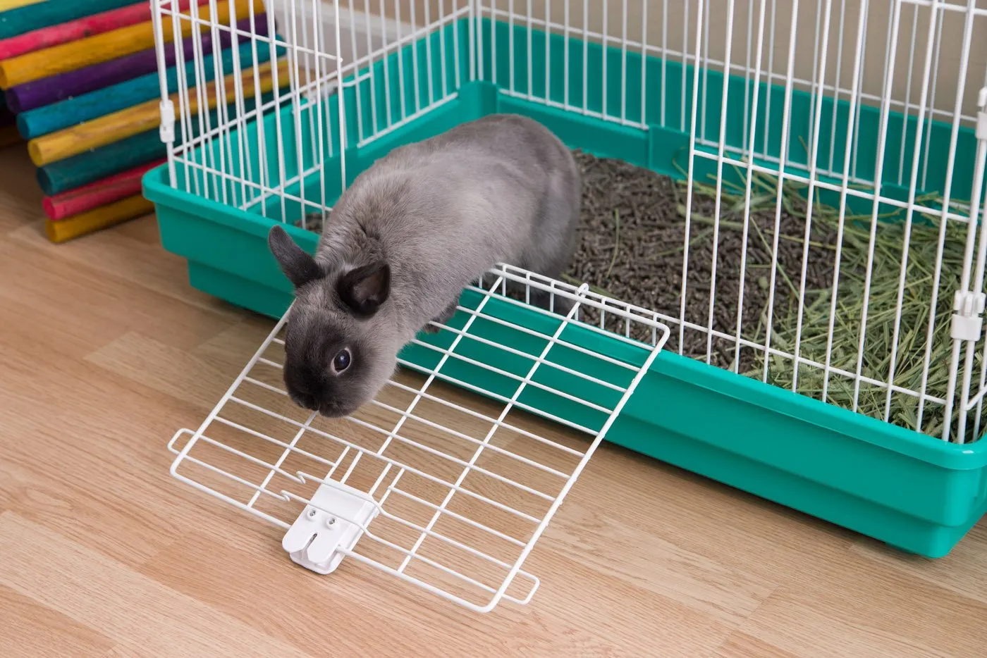 Rabbit Cage - Medium