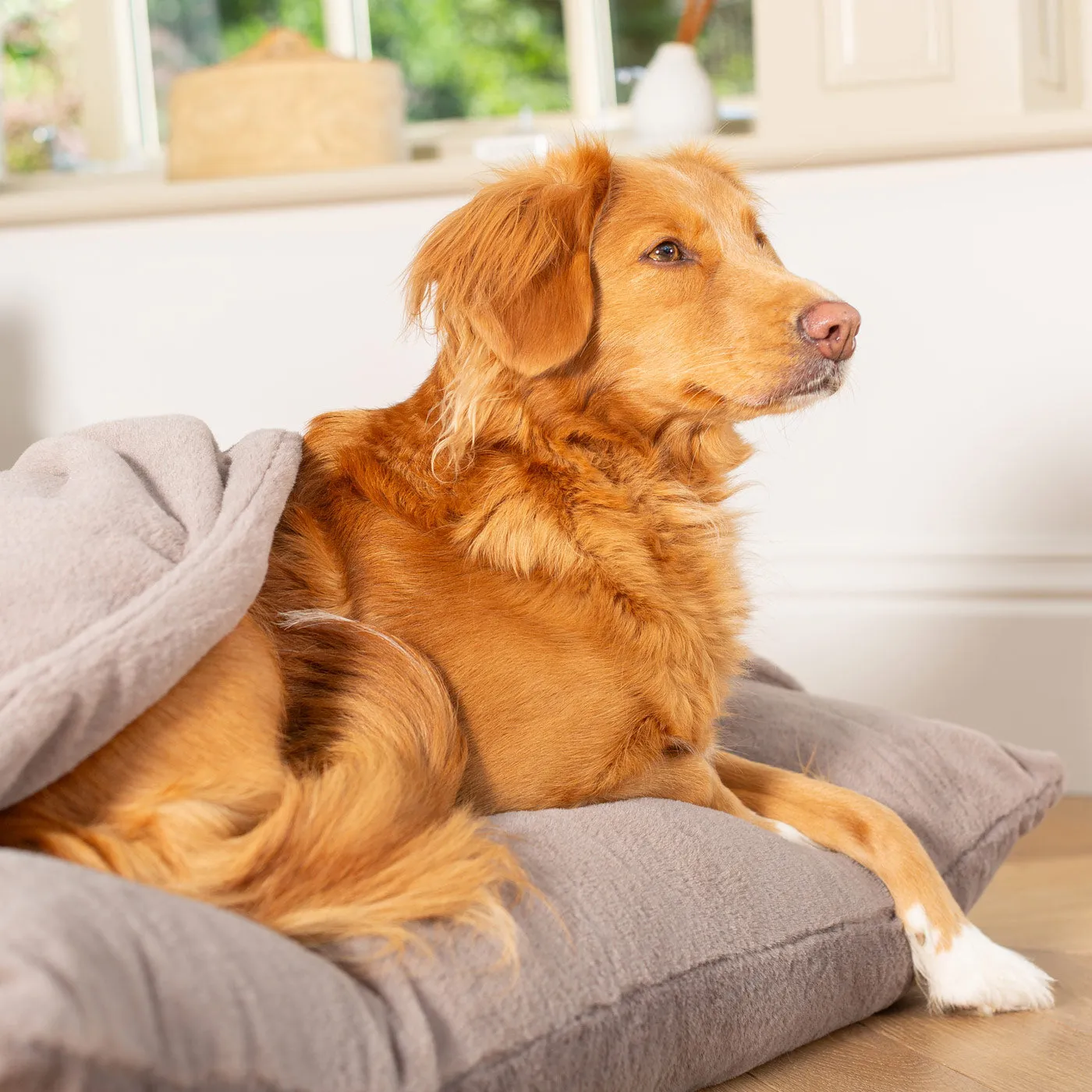 Sleepy Burrows Bed in Calming Anti-Anxiety Fawn Faux Fur by Lords & Labradors