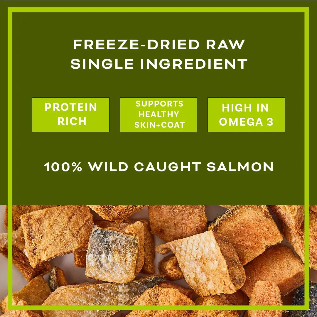 WILD CAUGHT SALMON FREEZE-DRIED TREAT